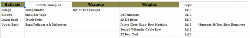 Back and biceps training table: bodyweight or TRX pullups 4x10, DB pullovers 3x12, single-arm DB rows 5x10, chest-supported rows 3x12, seated V-handle cable row 3x15 and EZ reverse curl 4x20.
