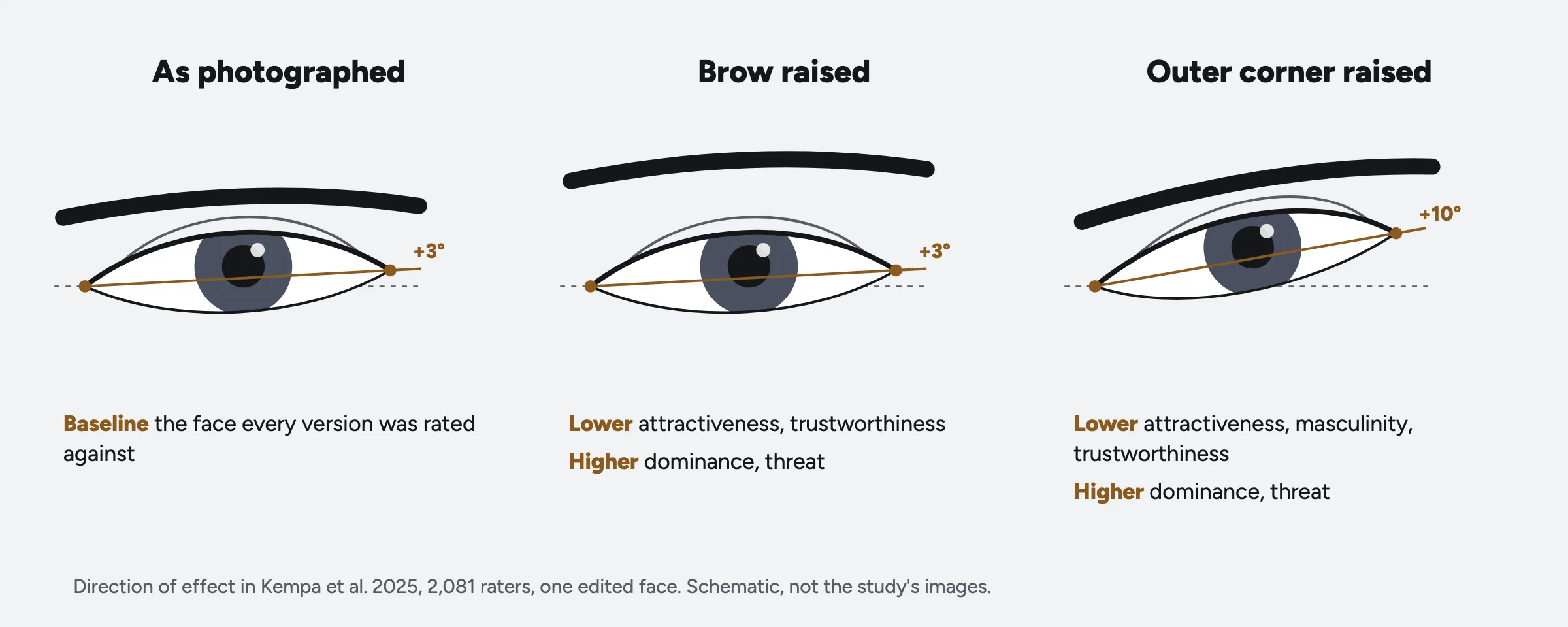 Diagram of one eye three ways: as photographed, brow raised, and outer corner raised to 10°. Both raised versions were rated less attractive and trustworthy, and more dominant and threatening.