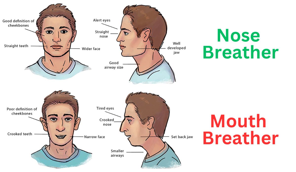 How to Get a Better Side Profile: 5 Must-Know Tips - Looksmaxxing